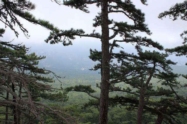 Отчёт о поездке в Крым 12.07 - 29.07