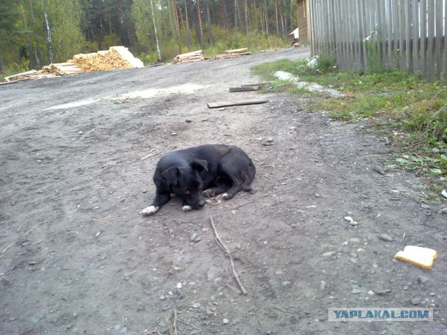 Колесим по Западной Сибири