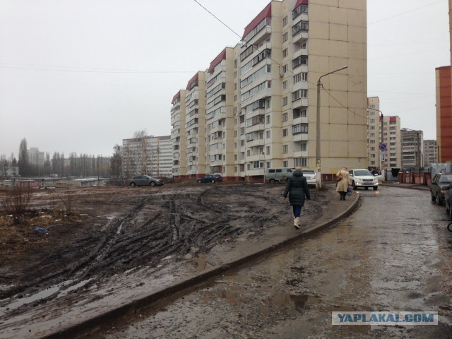 Настоящий газонный вредитель на Митсу