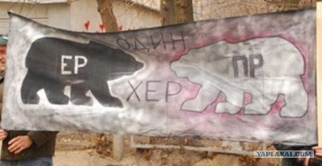Урна раздора. Нарушения на выборах 2011