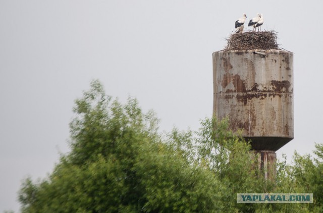 Углич. Место контрастов
