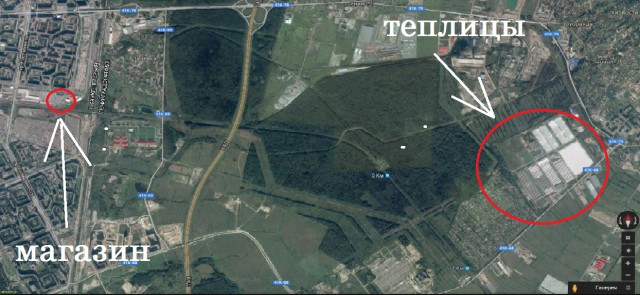 Новости импортозамещения
