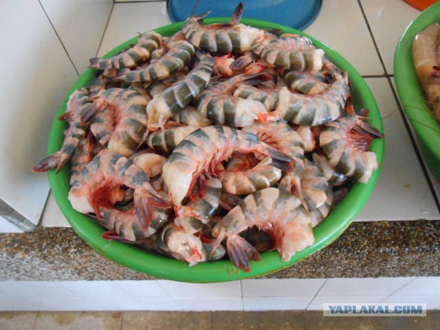 Рыбный рынок в Эквадоре