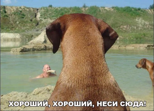Подборка интересных и веселых картинок
