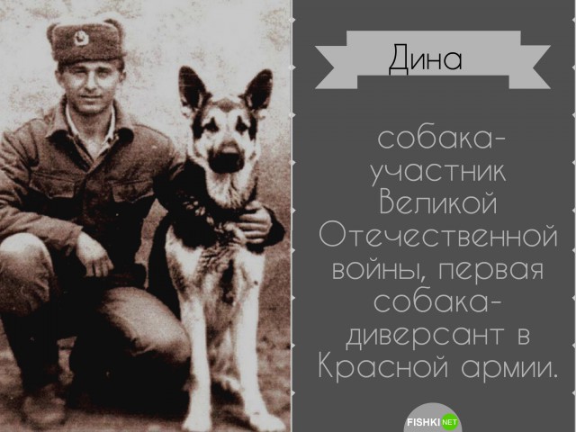 Подборка интересных и веселых картинок