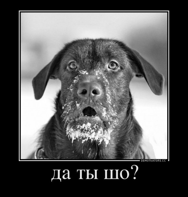 Ожидания страховщиков от реформы ОСАГО за полгода не оправдались