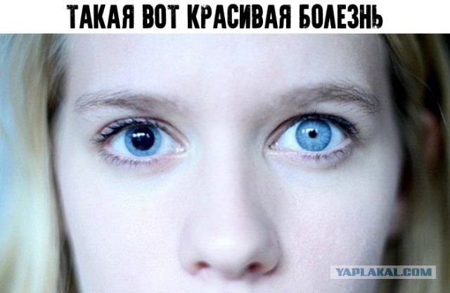 Почему бы не подеградировать, коллеги?