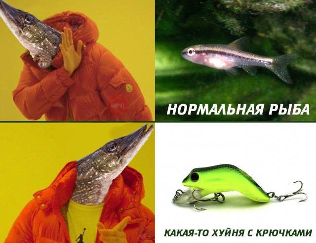 Нестандартный юмор