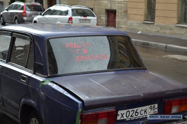 Волга TRASH