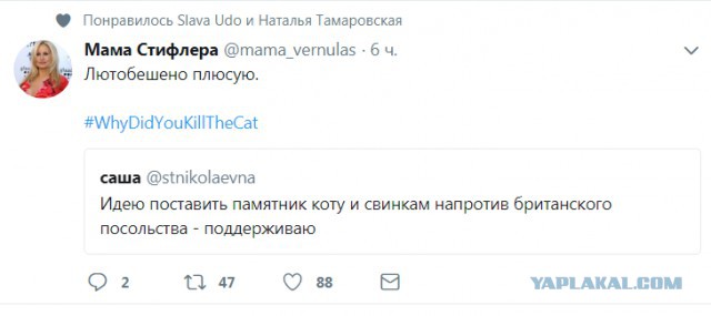 Смешные комментарии из социальных сетей 13.04.2018