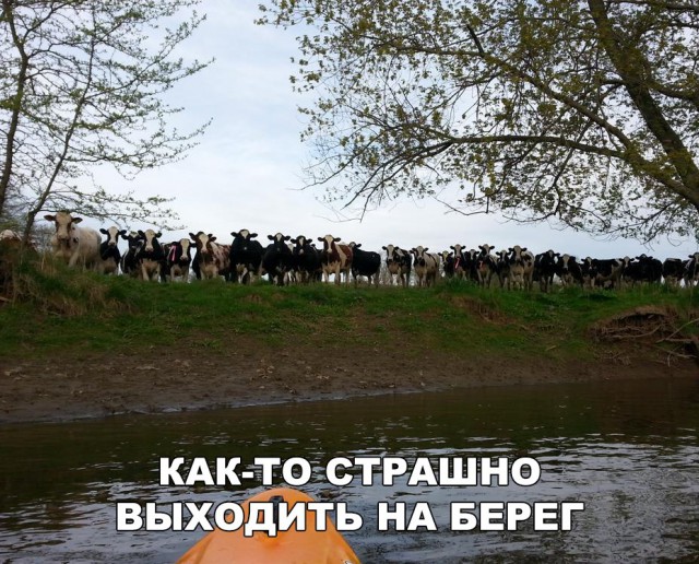 Нестандартный юмор