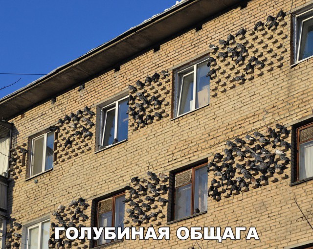 Нестандартный юмор