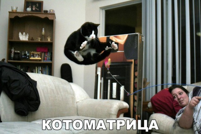 Нестандартный юмор
