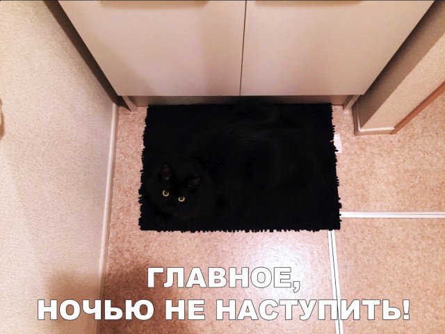 Немного милоты
