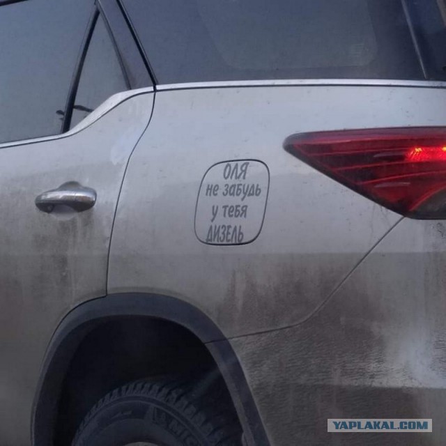 Скотсети и прочие интернеты 04.03.19