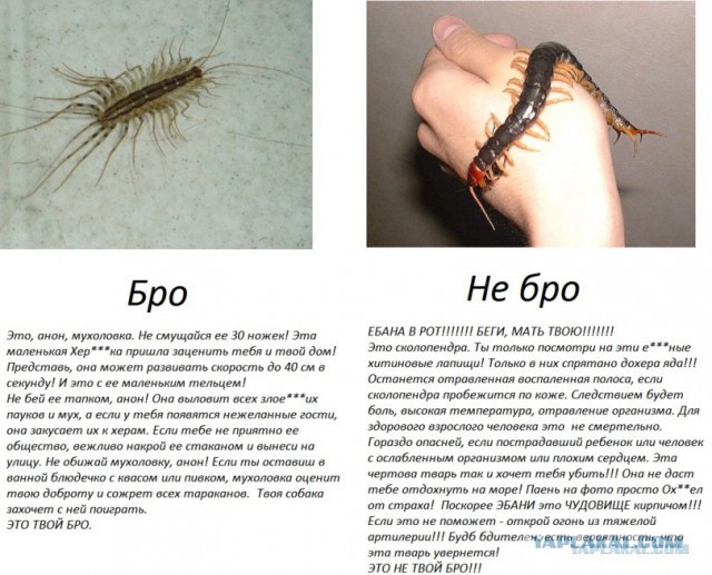Подборка интересных и веселых картинок 07.05.19