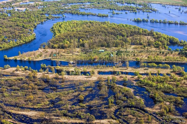 Глухое болото, говорите вы? Неописуемая красота, говорю я!