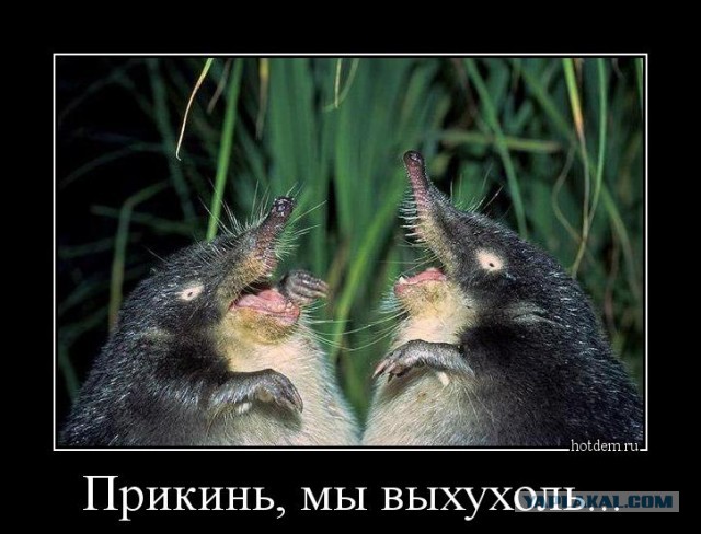 Кому ТЫ, а кому ВЫ?
