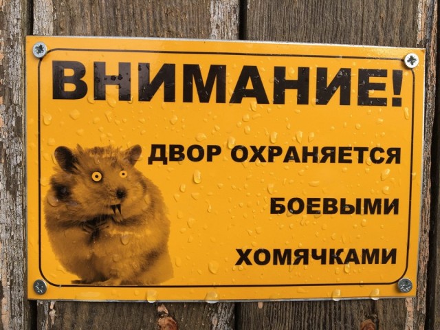 Подброка неинтересных и унылых картинок 29.11.2019