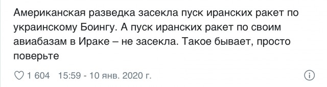 Украинский самолет был сбит двумя иранскими ракетами российского производства