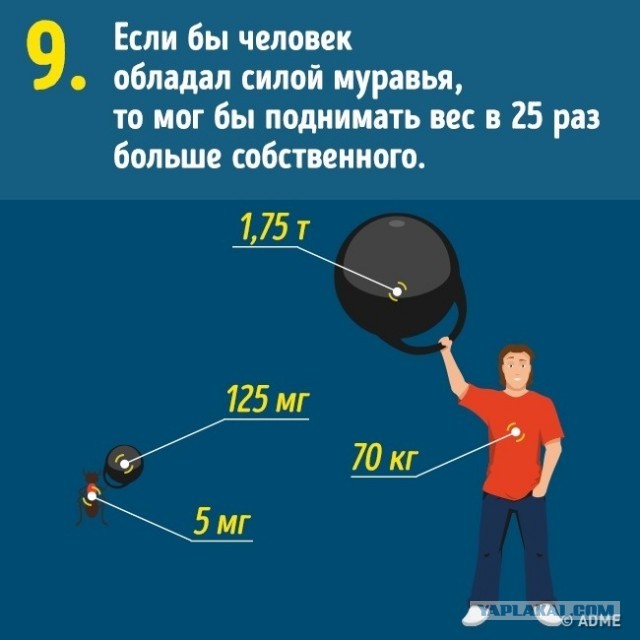 10 вещей, о реальных размерах которых мы и не подозревали