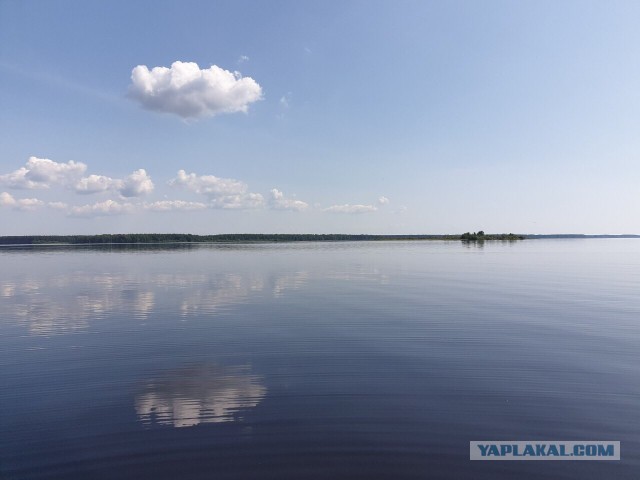 Со своих рыбалок, лето 2019