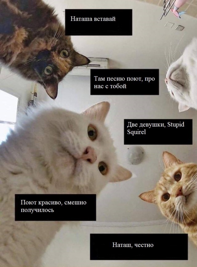 Наташа, вставай!