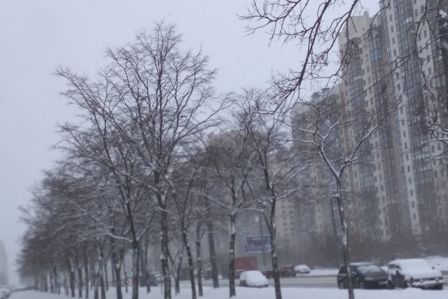 Женатый любовник хочет ребёнка