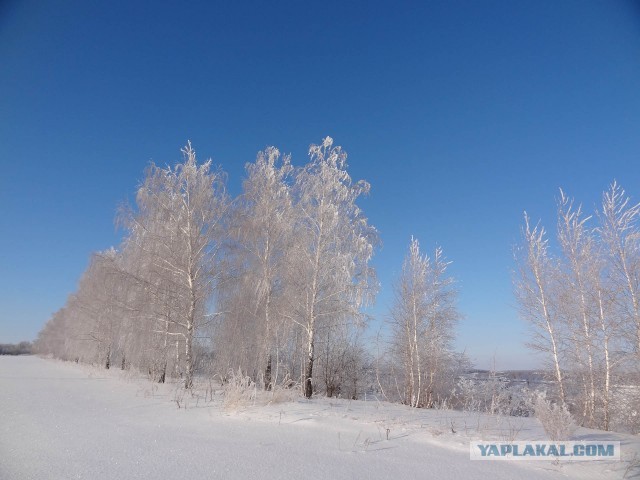 Красота фотографии