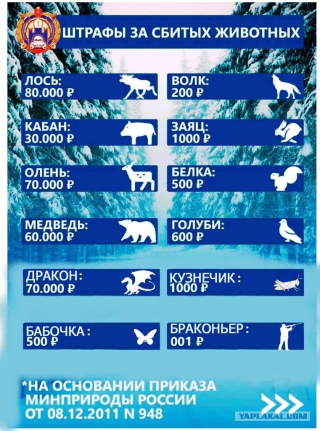 Основной вопрос — о цене голубей...