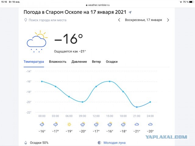Журналист спас собаку во время съёмки сюжета