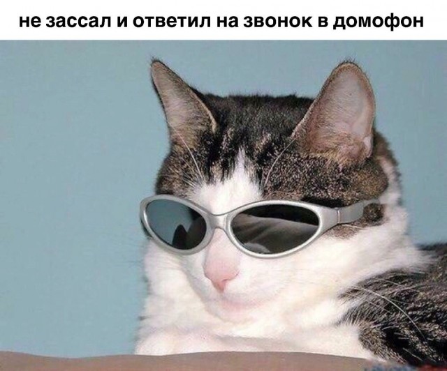 Бредзона 28.01.2021