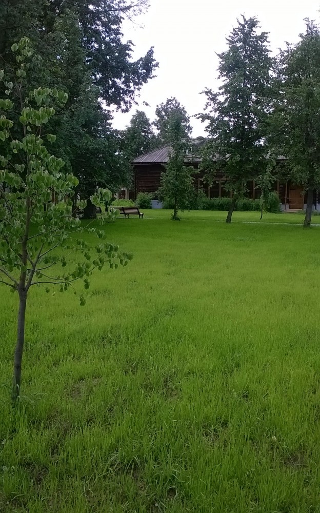 Почему людям так нравится хамить в интернете?