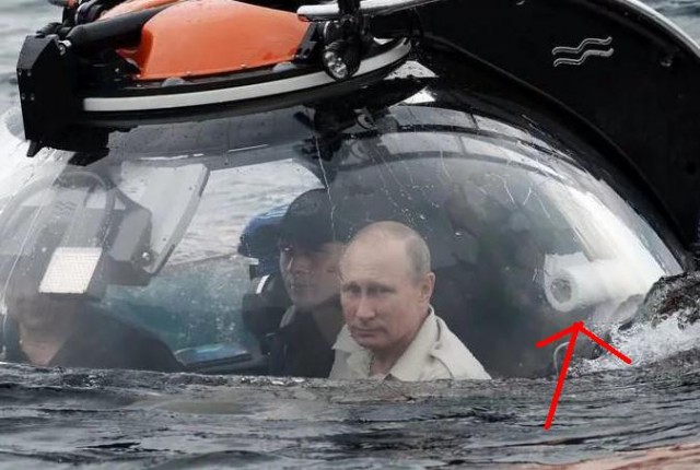 Горбатая тайга