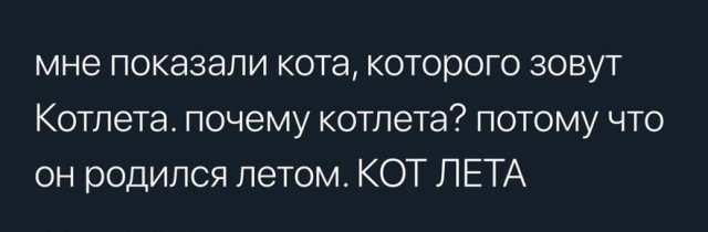 Какое имя дать коту?
