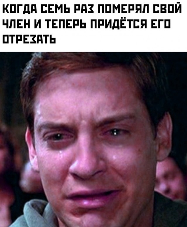 Весёлый полтишок 27.12