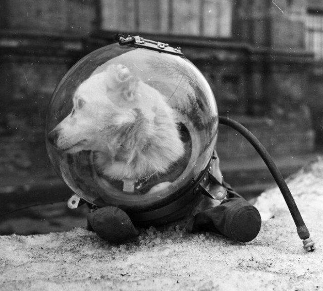 Фотографии из прошлого нашей страны