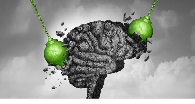 "Зелёные пришли". В Германии расчищают «нетронутый» 1000-летний лес под установку ветряков