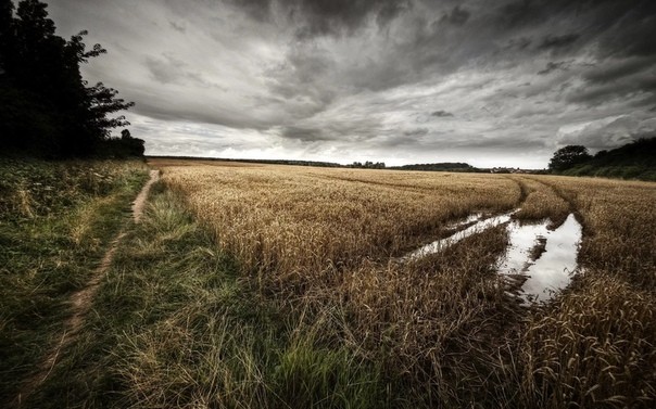 Никогда не думал, что что-то подобное буду здесь выкладывать. Выложу