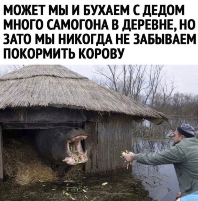 Картинки с надписями и всякие жизненные фразы