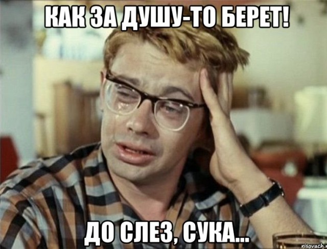 На Ямале кошка выкармливает брошенных щенков хаски