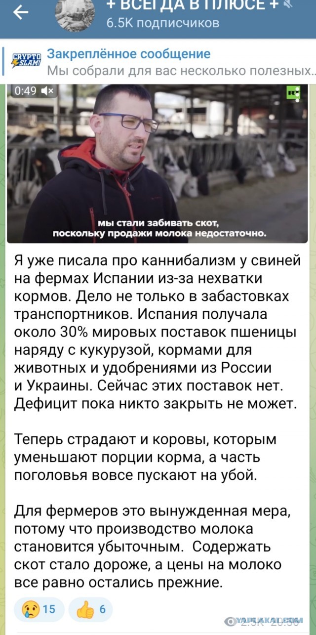 Пандемия. Коронавирус и съехавшие крыши. Россия и мир. Часть 32.