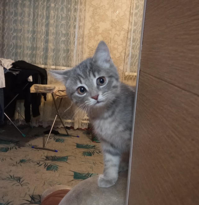 Вот как с ним бороться?