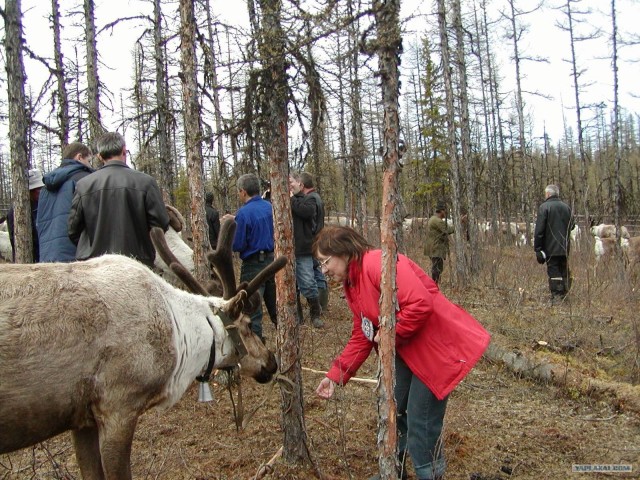 В объективе - Эвенкия