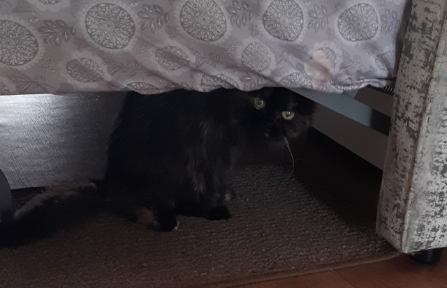 Кот д’Ивуар