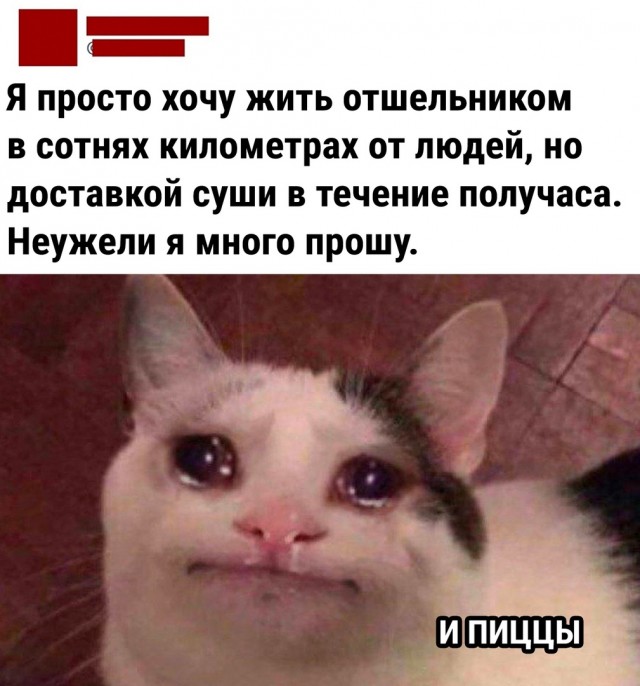 Так себе картинки 18.06.22