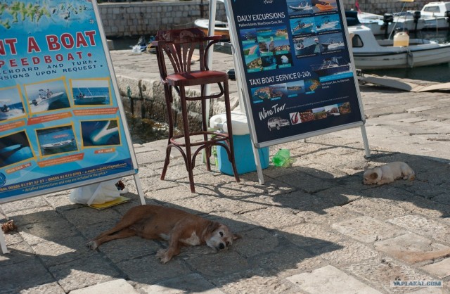Поездка в Хорватию