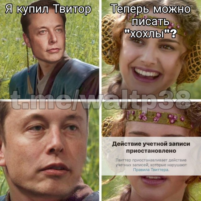 "Птичка выпущена на волю":
Маск подтвердил, что возглавил Twitter