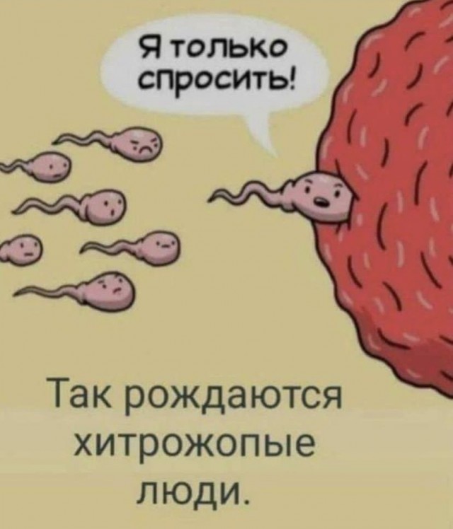 Так себе картинки 12.12.21