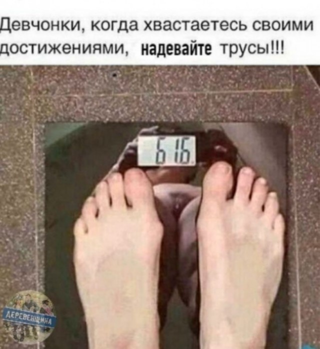 Весёлый полтишок 29.12.22